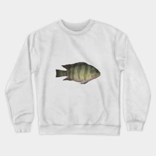 Redbelly Tilapia Crewneck Sweatshirt